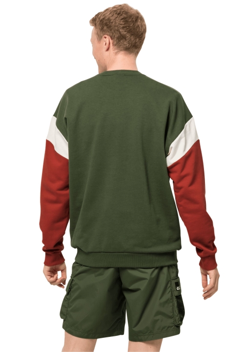 Jack Wolfskin 365 Rebel Crew M Greenwood Origins