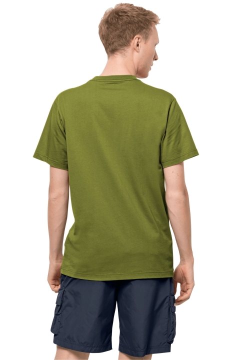 Kolekcie Zeleného čaju 365 T M Jack Vlčia Koža